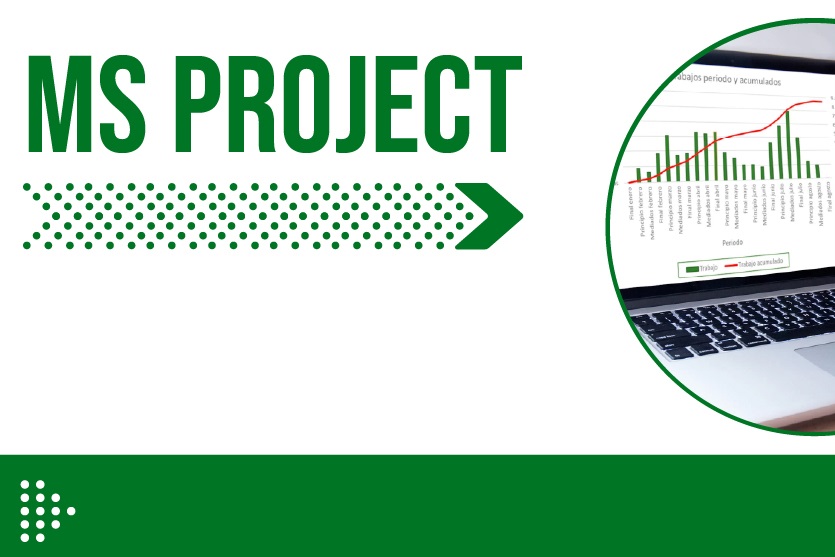 MS PROJECT PROFESSIONAL